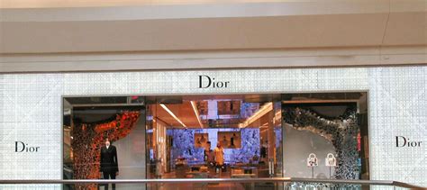 dior store looting|short hills dior theft.